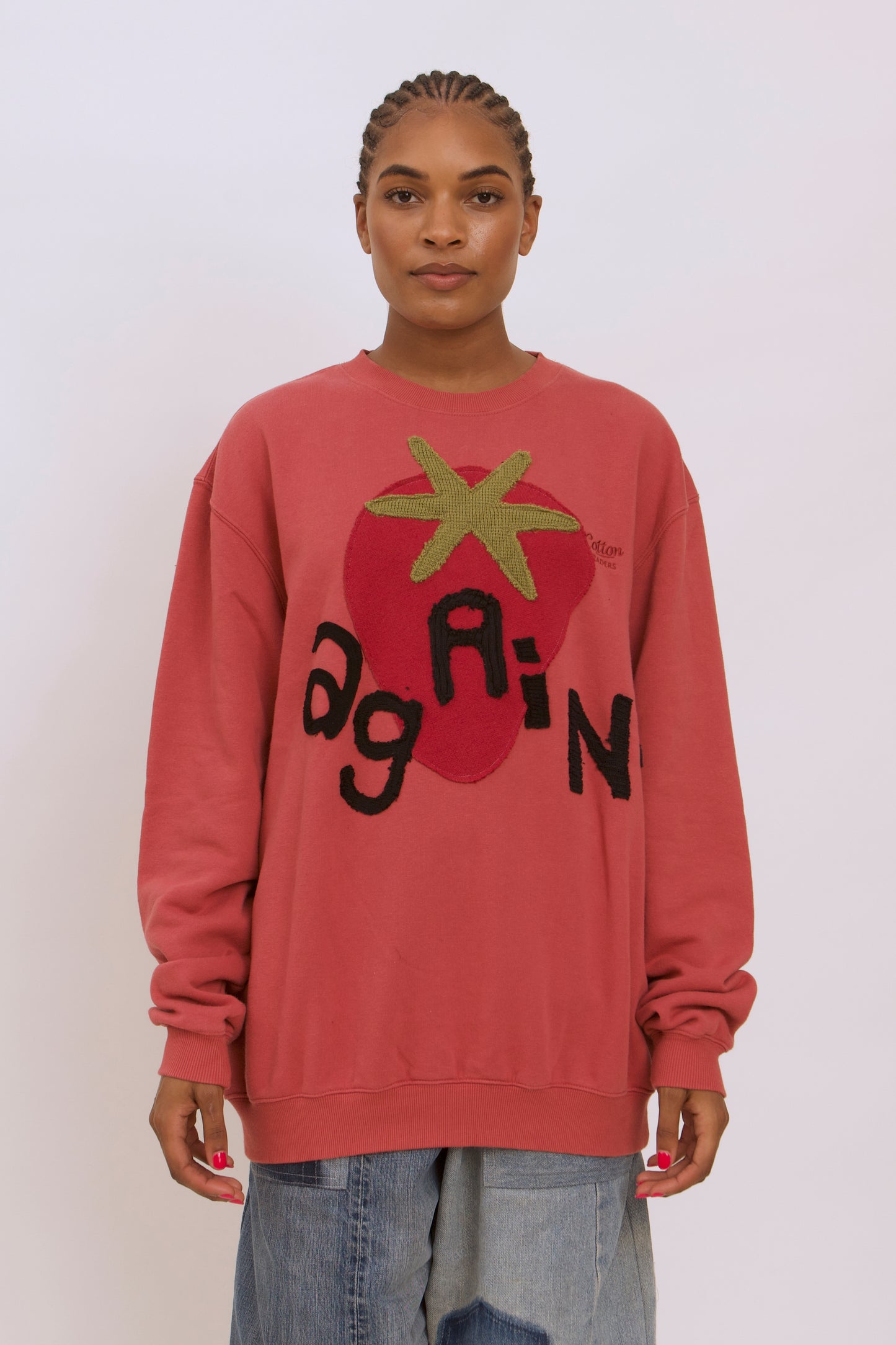 Strawberry Seeds Jumper 004 - L